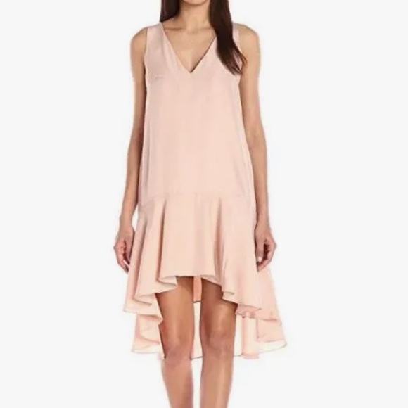 Paper Crown Blush Dress - Picture 5 of 7